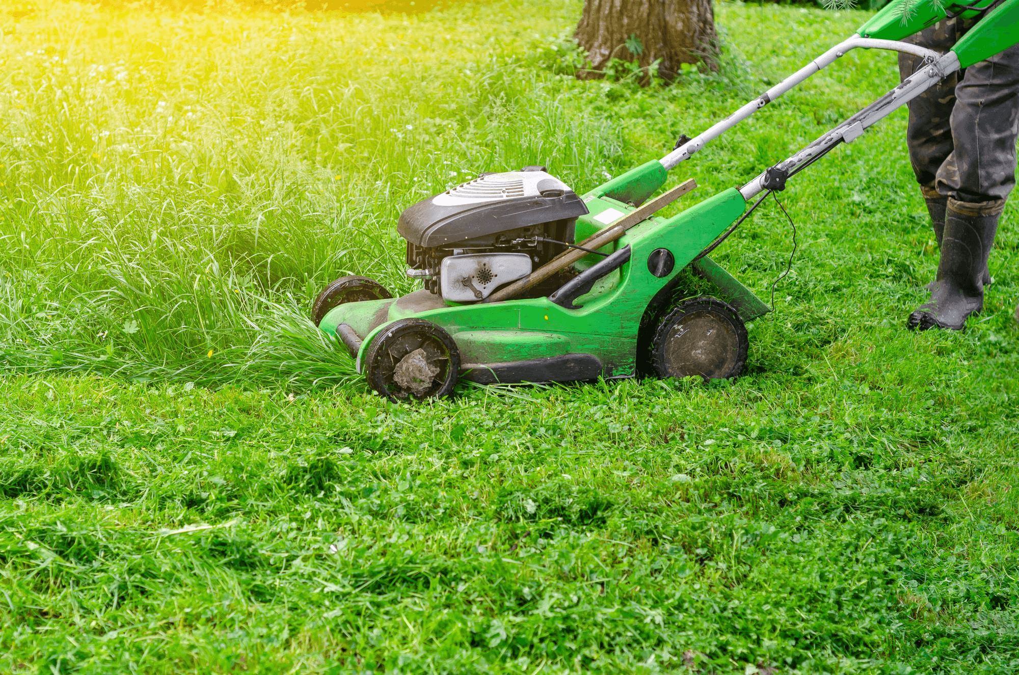 Lawn Care