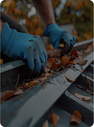 Eavestrough Cleaning