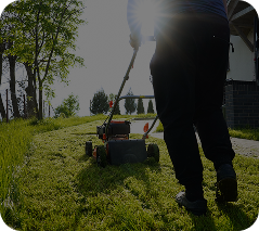 Landscaping Maintenance