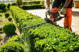 Professional hedge trimming services in the Greater Toronto Area by HR Property Maintenance. Expert yard cleaning and maintenance for a neat and healthy landscape.