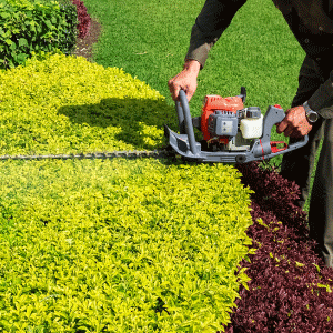 Professional tree and shrub trimming services in the Greater Toronto Area by HR Property Maintenance. Enhance your yard and protect gutters and eavestroughs from debris.