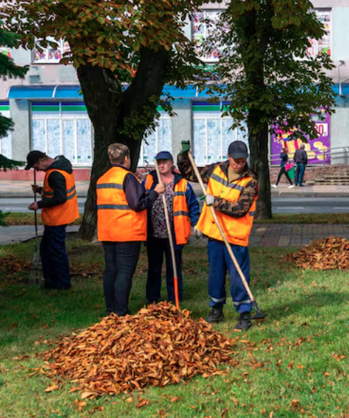 Branches and leaves removal services in the Greater Toronto Area by HR Property Maintenance. Expert gutter and eavestrough cleaning for clean and safe yards.