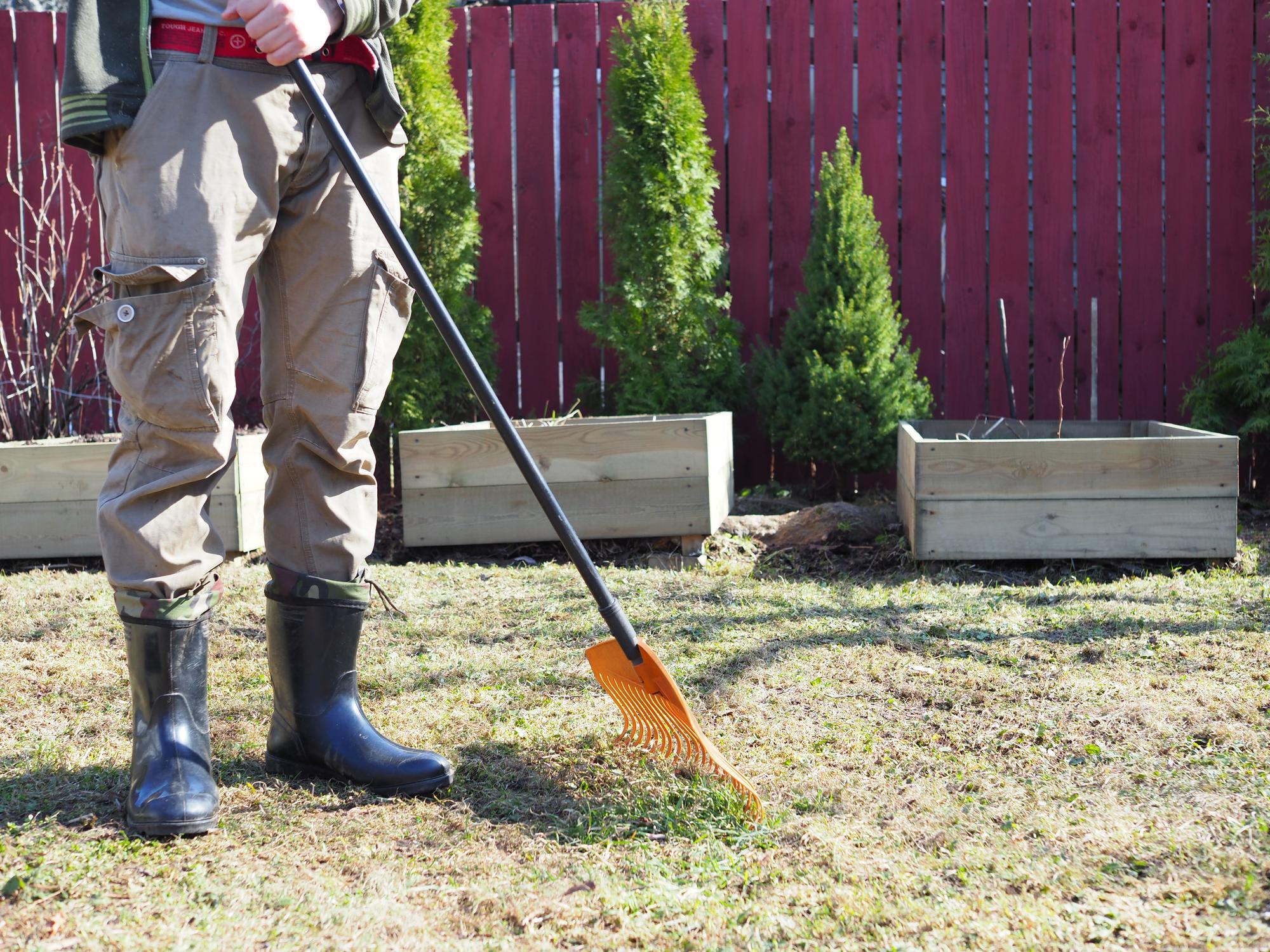 Yard Cleaning Services