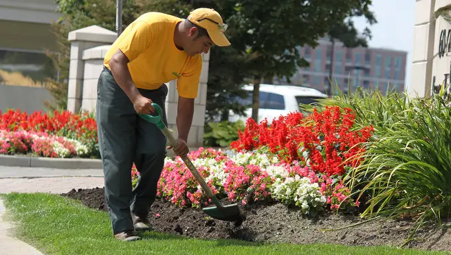 Professional garden and flower bed cleaning in the Greater Toronto Area by HR Property Maintenance. Expert yard cleanup and maintenance services for a pristine home exterior.