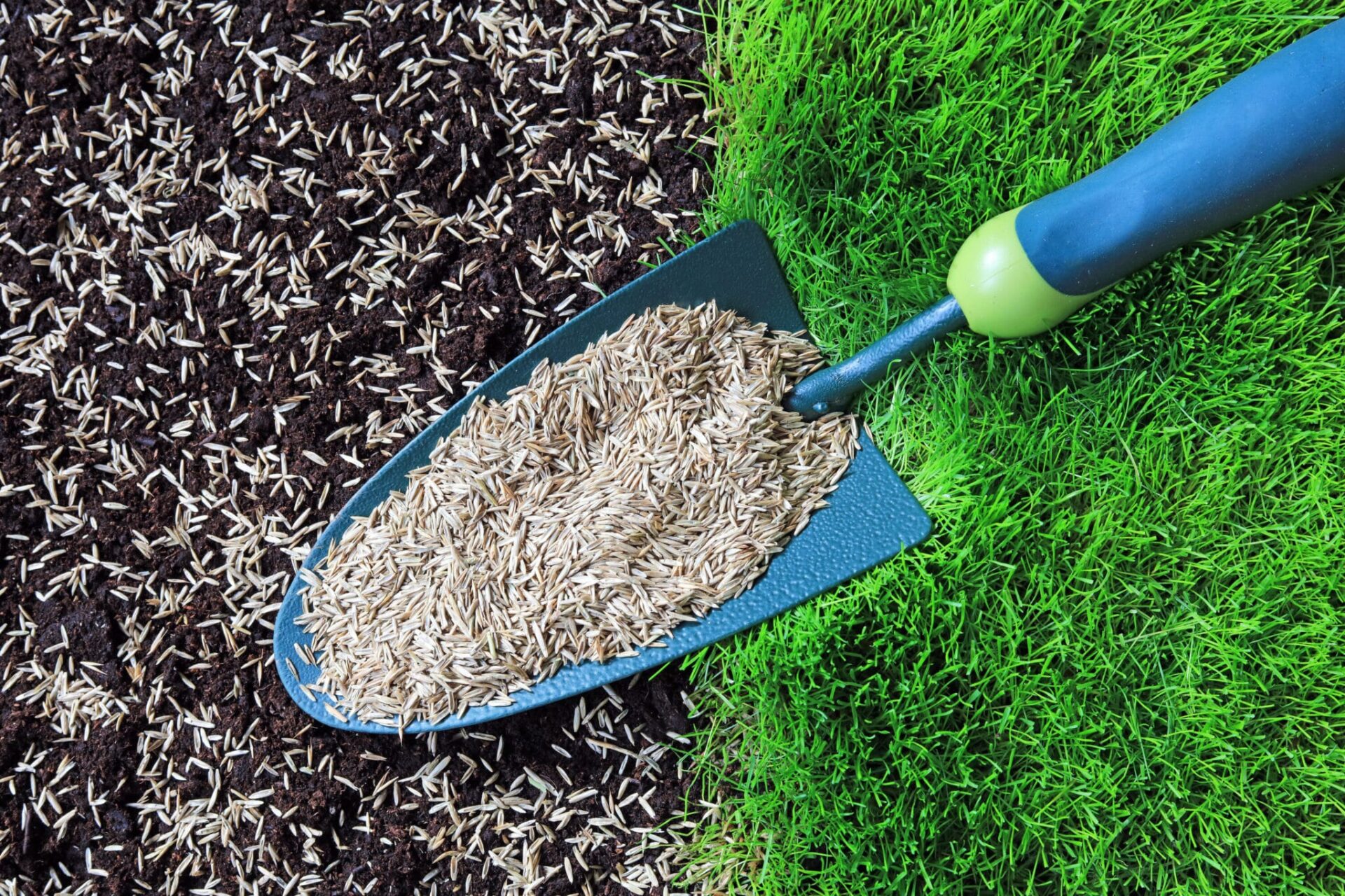 Professional lawn re-seeding and yard maintenance services in the Greater Toronto Area by HR Property Maintenance. Enhance your yard and maintain healthy gutters and eavestroughs.