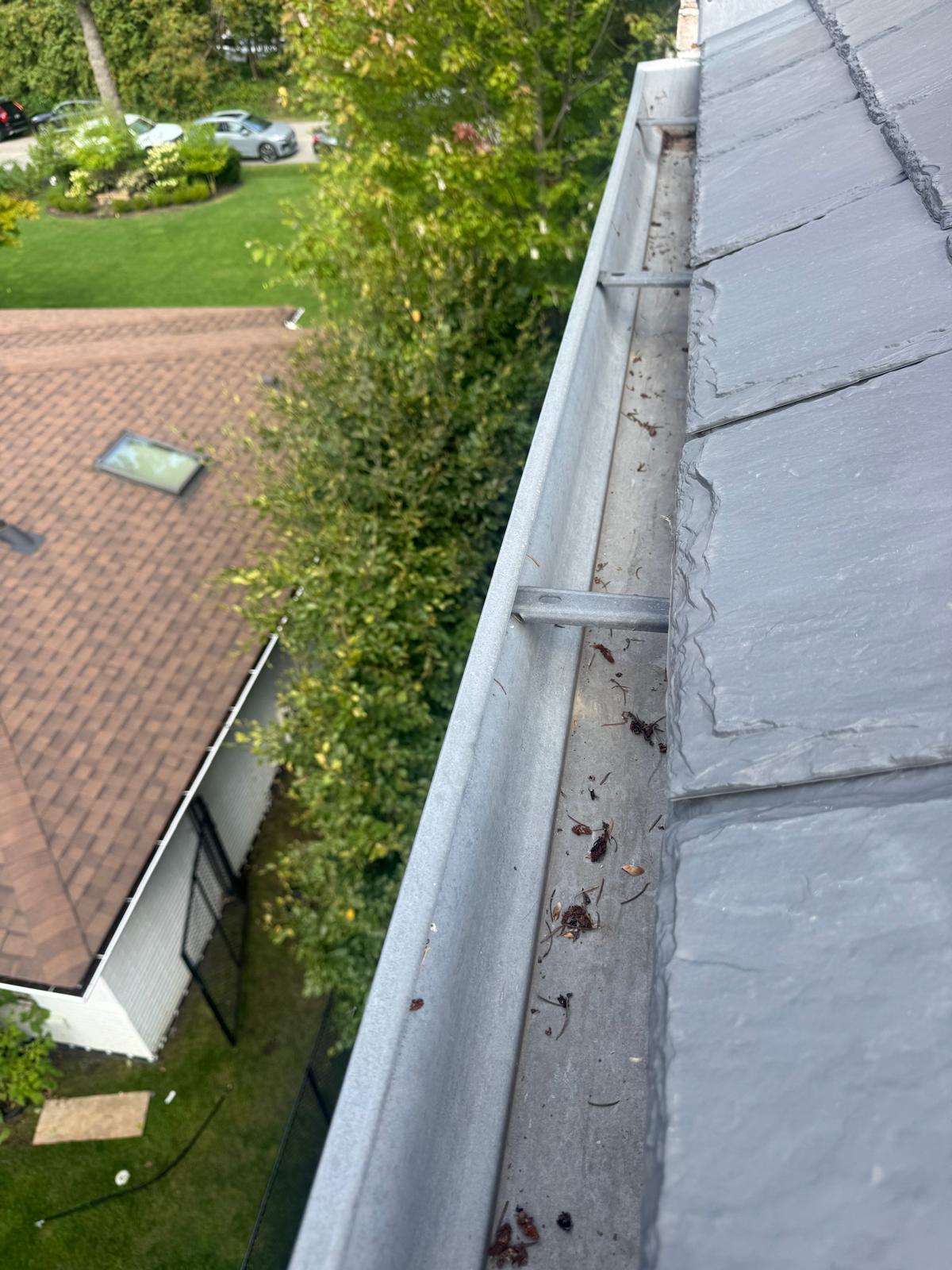 Eavestrough Gutter Cleaning Services