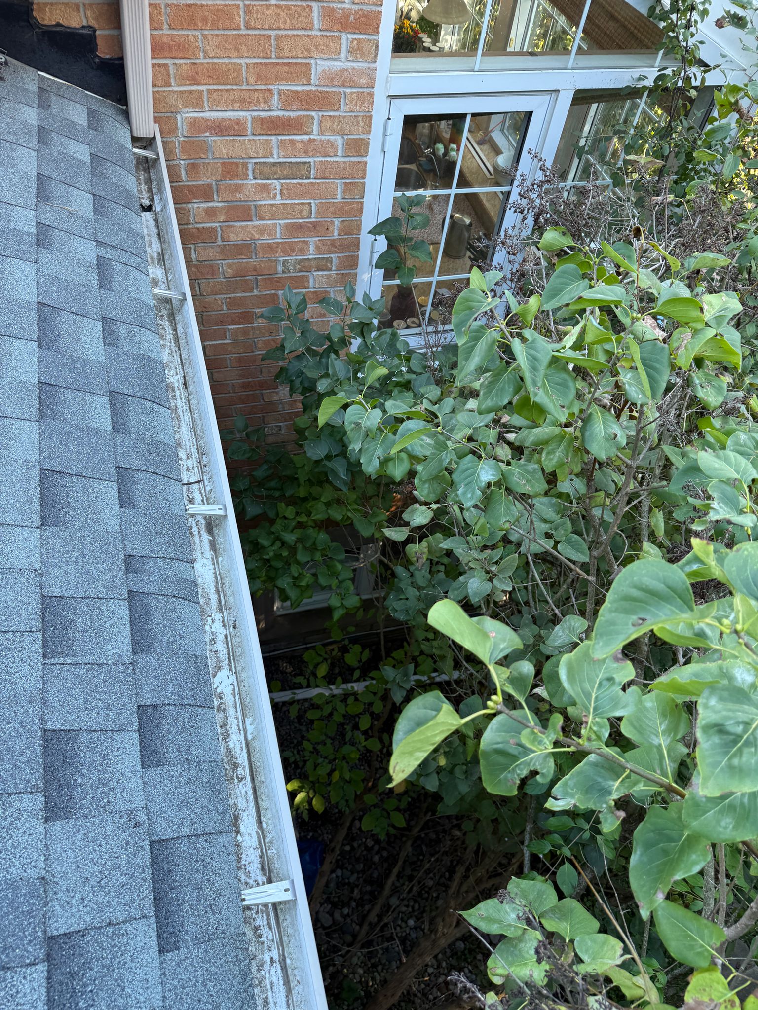 Gutter Services