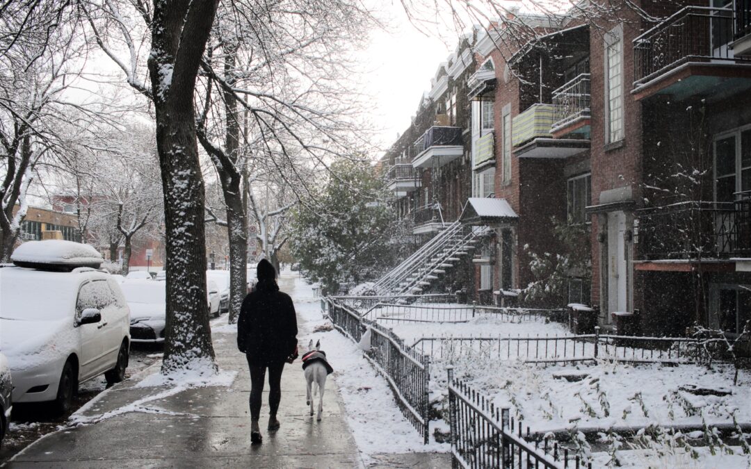 Snow Removal Laws in the GTA: What Property Owners Must Know