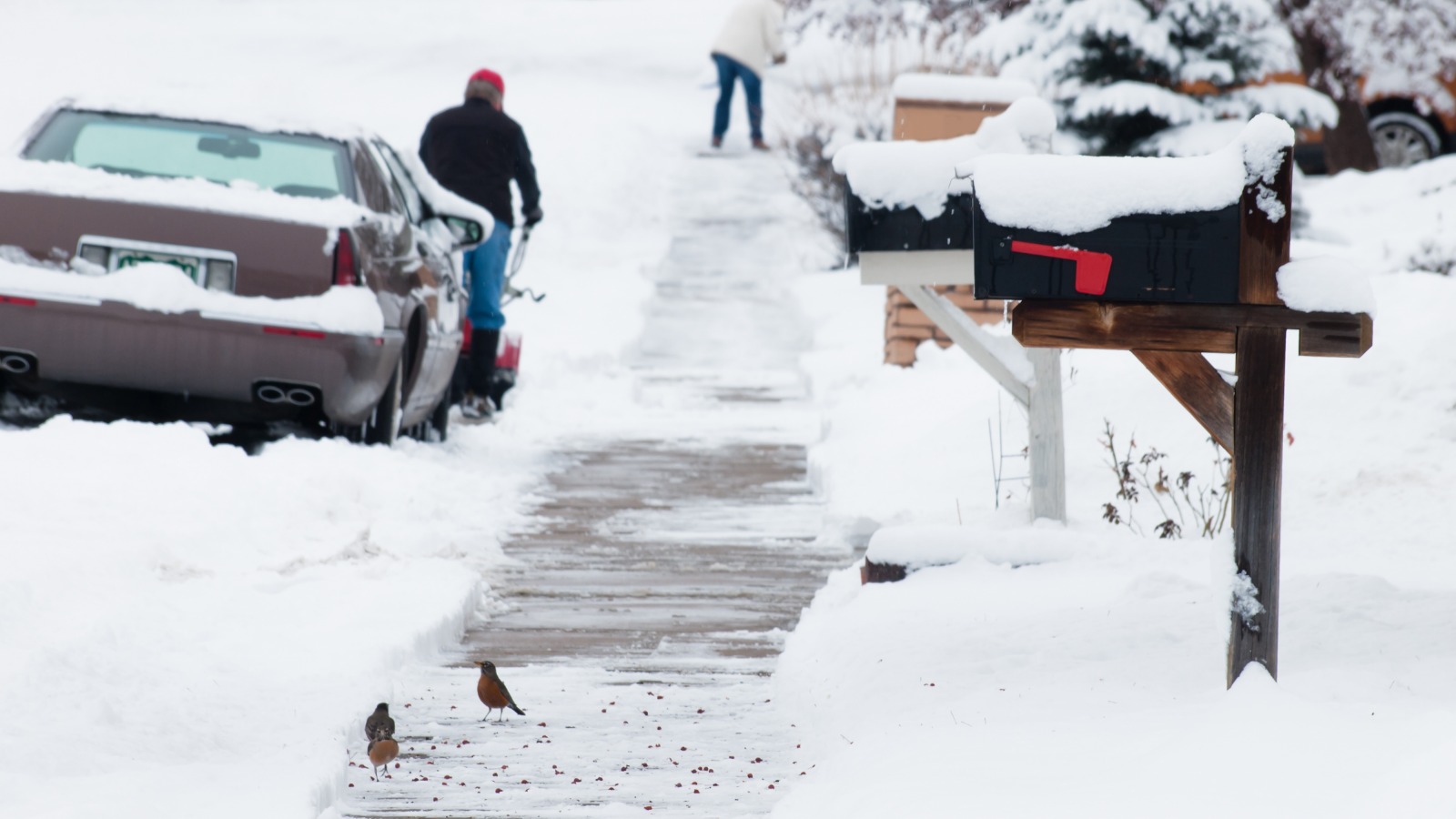 Snow-covered residential sidewalk partially cleared, with icy patches near a driveway and mailbox
