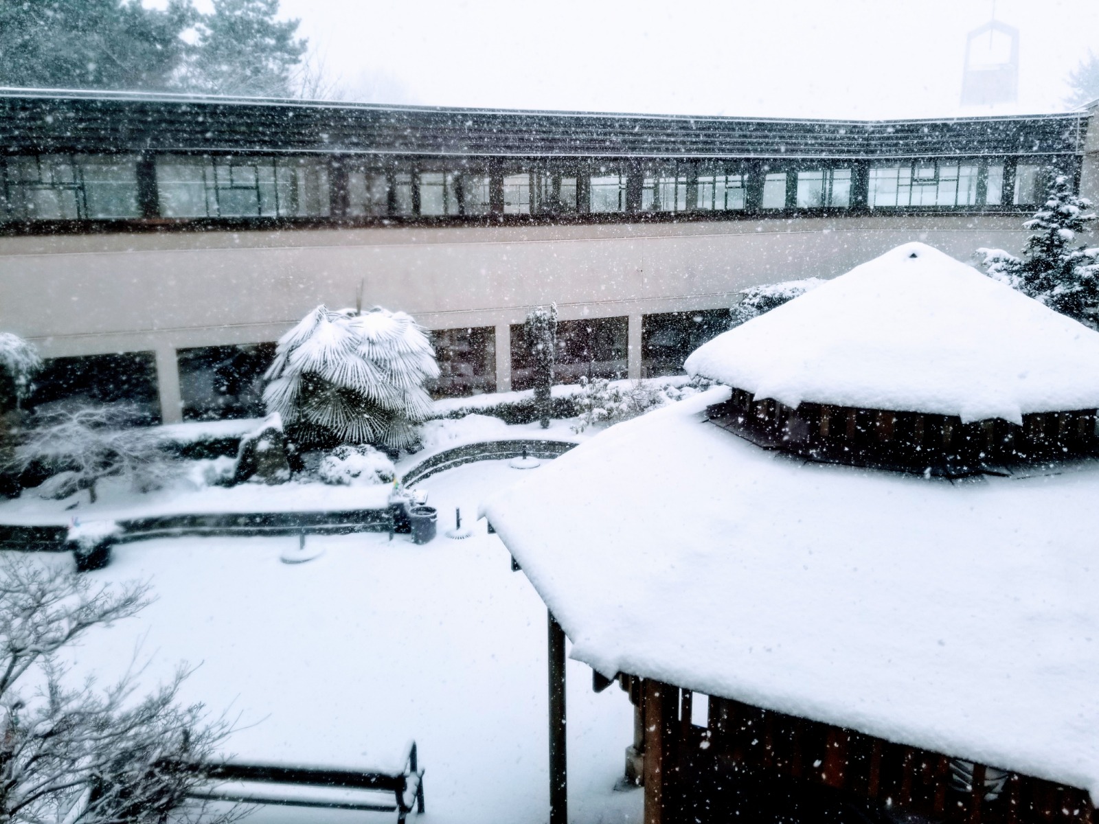 Snow-covered residential property courtyard and roof structures during active winter snowfall